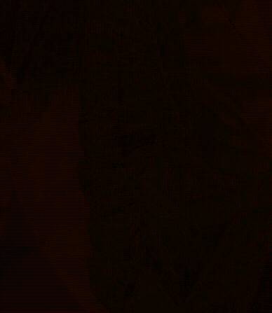 les photos de saliou sonko